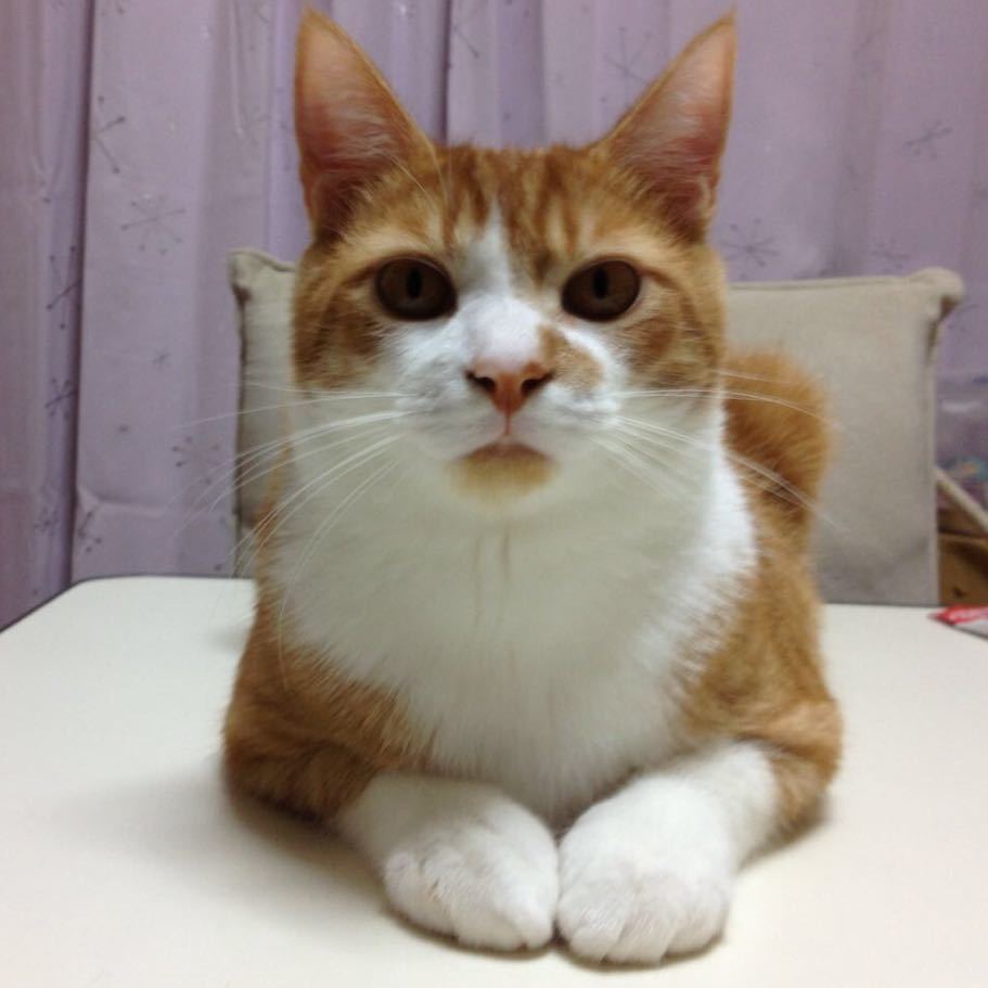 孔庆玥
