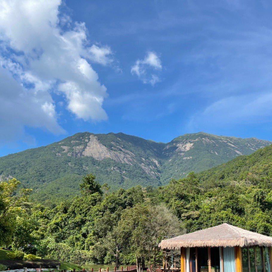 WangDong